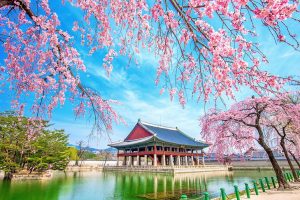 south-korea-top-chinese-tourist-attractions